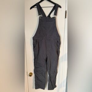 Toad&Co Gray Overalls